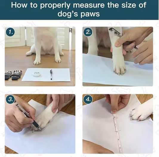 TailWaggers™ Dog Anti-slip Foot Patch Paw Pads Dog Paw Protection Stickers with Stronger Adhesive for Hard Floor or Injuries Pet Accessories