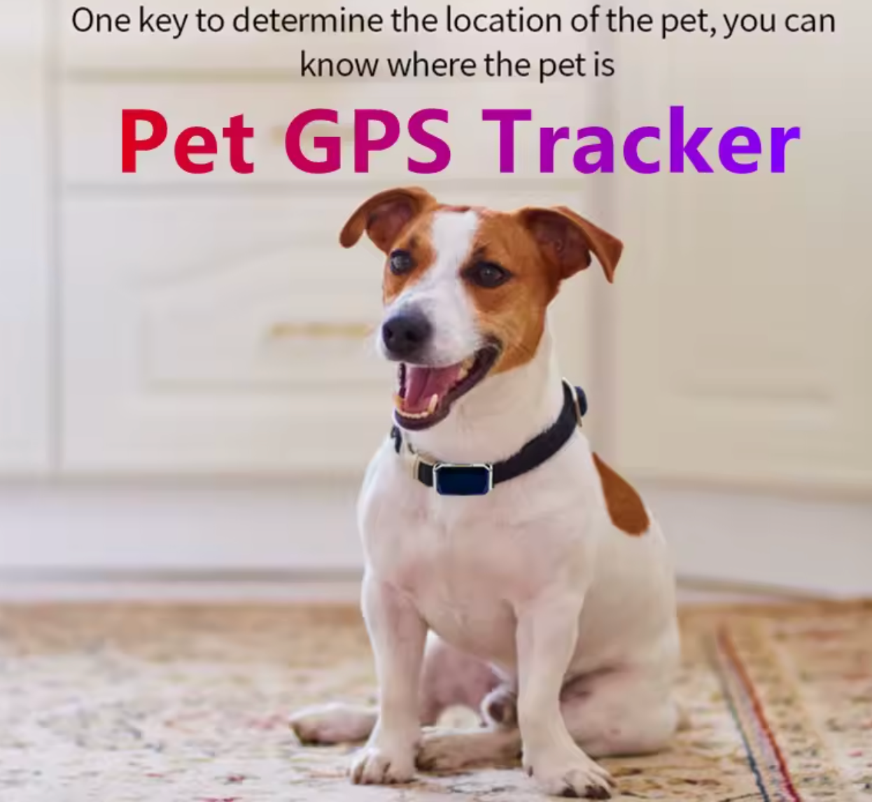 TailWaggers™ Dog GPS Tracker G12 Waterproof IP67 Geo-fence 200mA Battery Standby Mini GPS Locator For Dog GPS For Cat Collar Monitor FREE APP