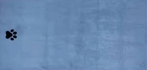 TailWaggers™ Pet Microfiber Drying Towel (Large)