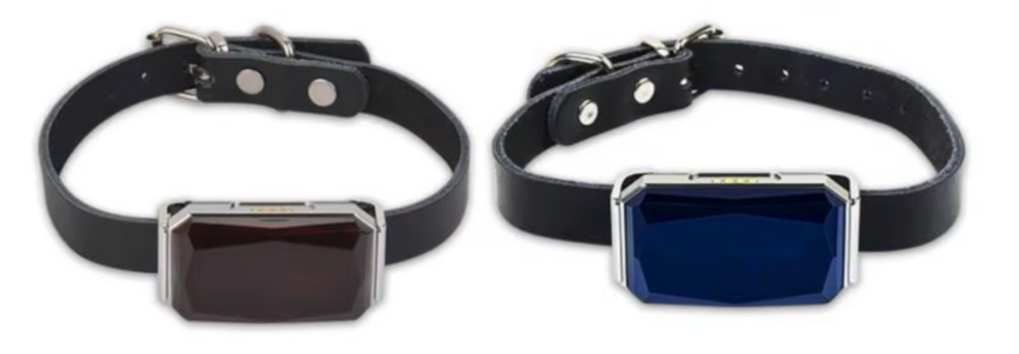 TailWaggers™ Dog GPS Tracker G12 Waterproof IP67 Geo-fence 200mA Battery Standby Mini GPS Locator For Dog GPS For Cat Collar Monitor FREE APP