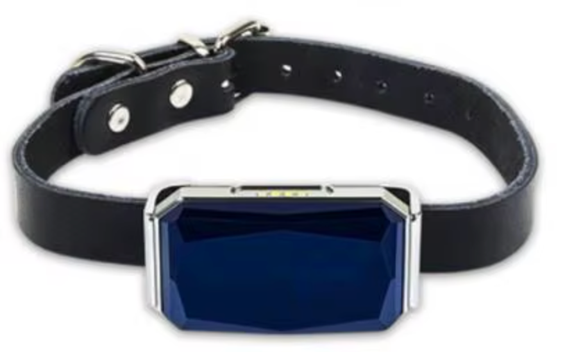 TailWaggers™ Dog GPS Tracker G12 Waterproof IP67 Geo-fence 200mA Battery Standby Mini GPS Locator For Dog GPS For Cat Collar Monitor FREE APP