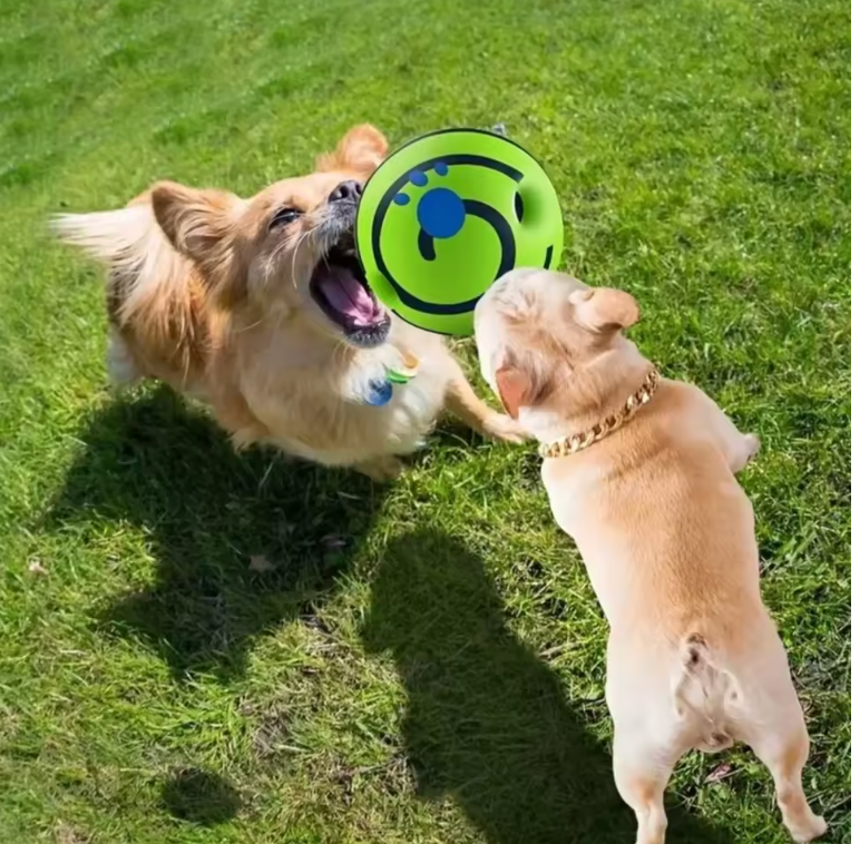 TailWaggers™ Pet Dog Toy Ball Wobble Wag Giggle Sound-Emitting Glow Ball Interactive Dog Toy Funny Indoor or Outdoor Play Agility Training